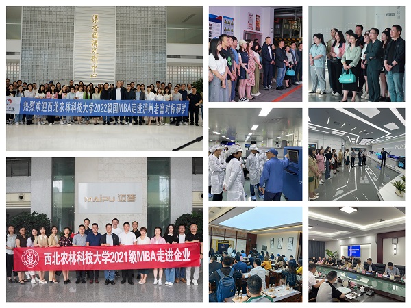657333b55a5446eea42cc6f108481e14.jpg 研学活动现场.JPG